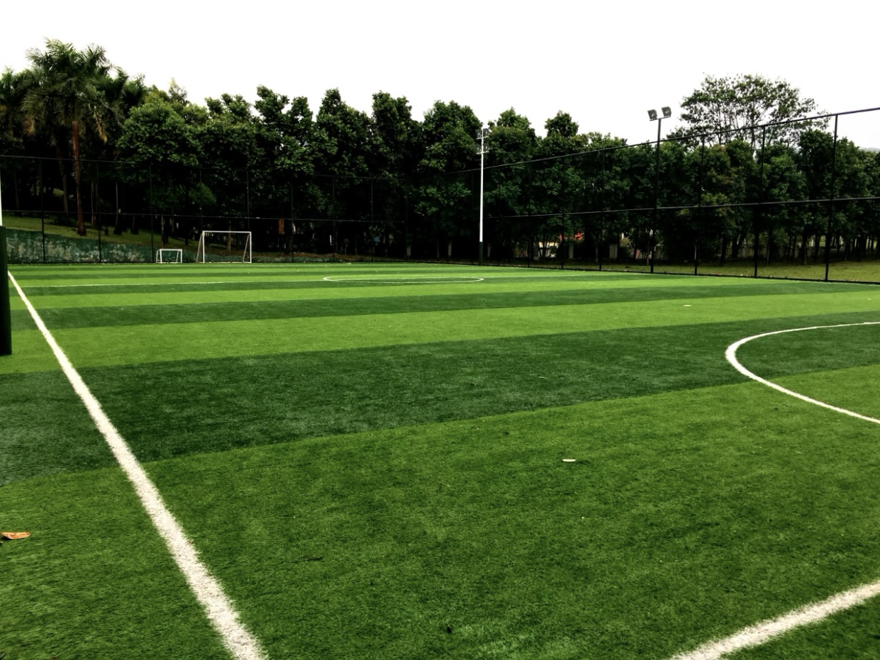 人造草坪和天然草坪的区别？优缺点对比超直观