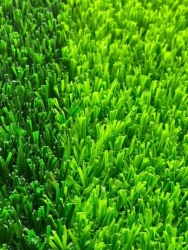 足球场人造草坪和普通绿化草有哪些区别？