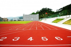 塑胶跑道真的有毒吗？环保材料辨别指南