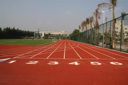中小学操场选透气型还是全塑型塑胶跑道性价比更高？